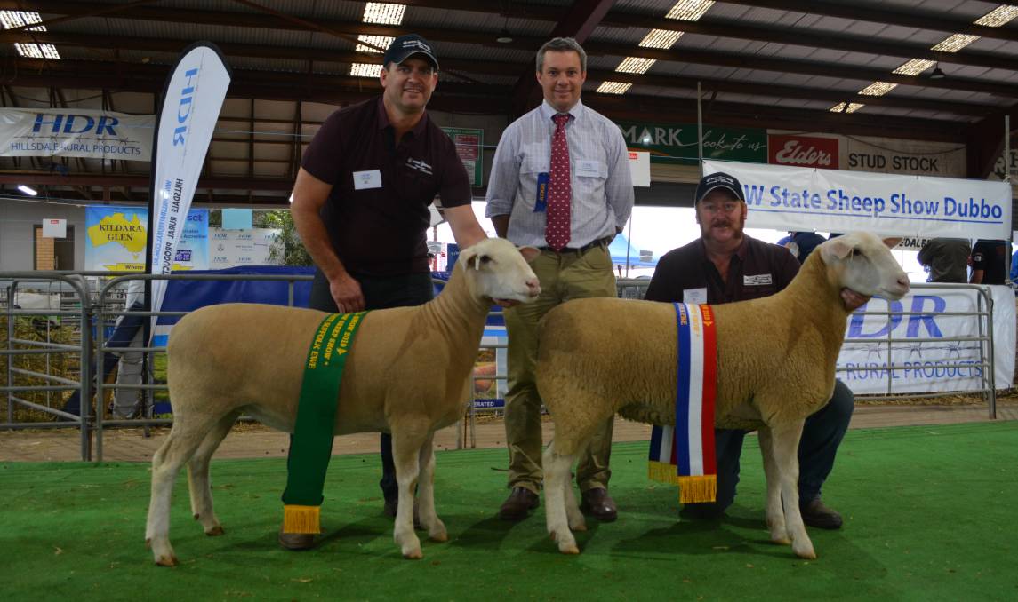 Reserve champion White Suffolk ewe, Rene 31/18