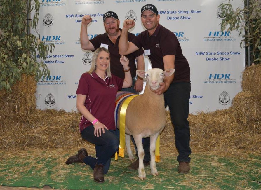 Supreme White Suffolk exhibit with their grand champion ewe Rene 27/18