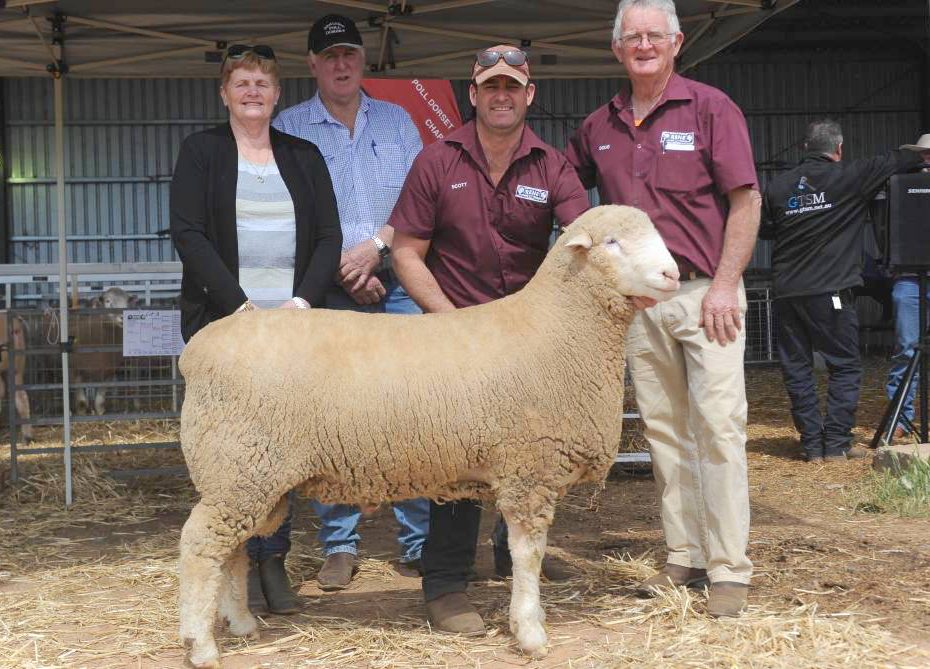 Henry and Karen Cameron, Athlone Poll Dorsets, Penshurst, Victoria, with Rene stud principals Scott and Doug Mitchell, Culcairn.