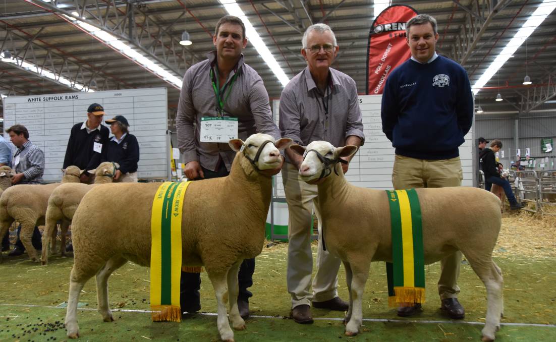 Scott and Doug Mitchell, Rene stud, Culcairn, NSW, with their grand champion and reserve champion ewes, with judge Chris Badcock, Tas.