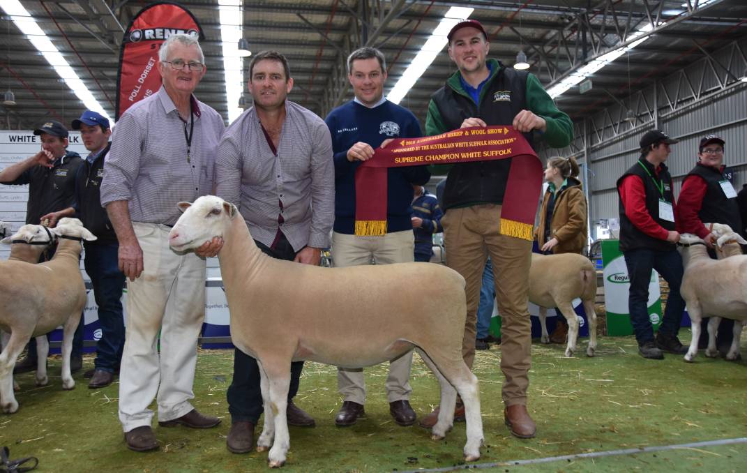 Scott Mitchell, Rene stud, Culcairn, NSW, holds the supreme exhibit with Doug Mitchell, judge Chris Badcock, Tas, and Australian White Suffolk Association board member Brendan Addis, Gnowangerup, WA.