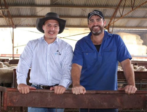 Movember inspires farmers to support men’s health especially during drought