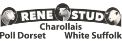 Rene Stud – White Suffolk | Poll Dorset | Charollais Logo