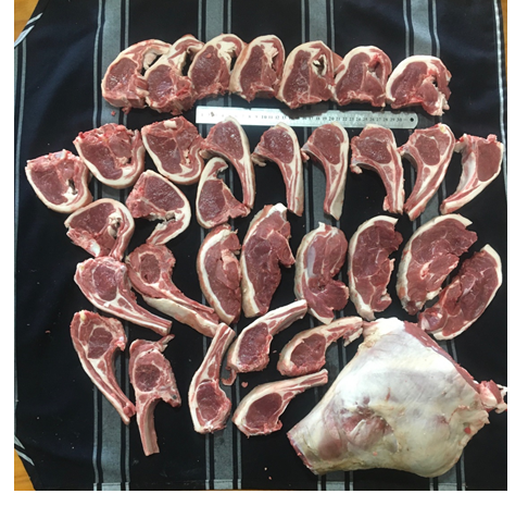 Lamb To Carcass Trial