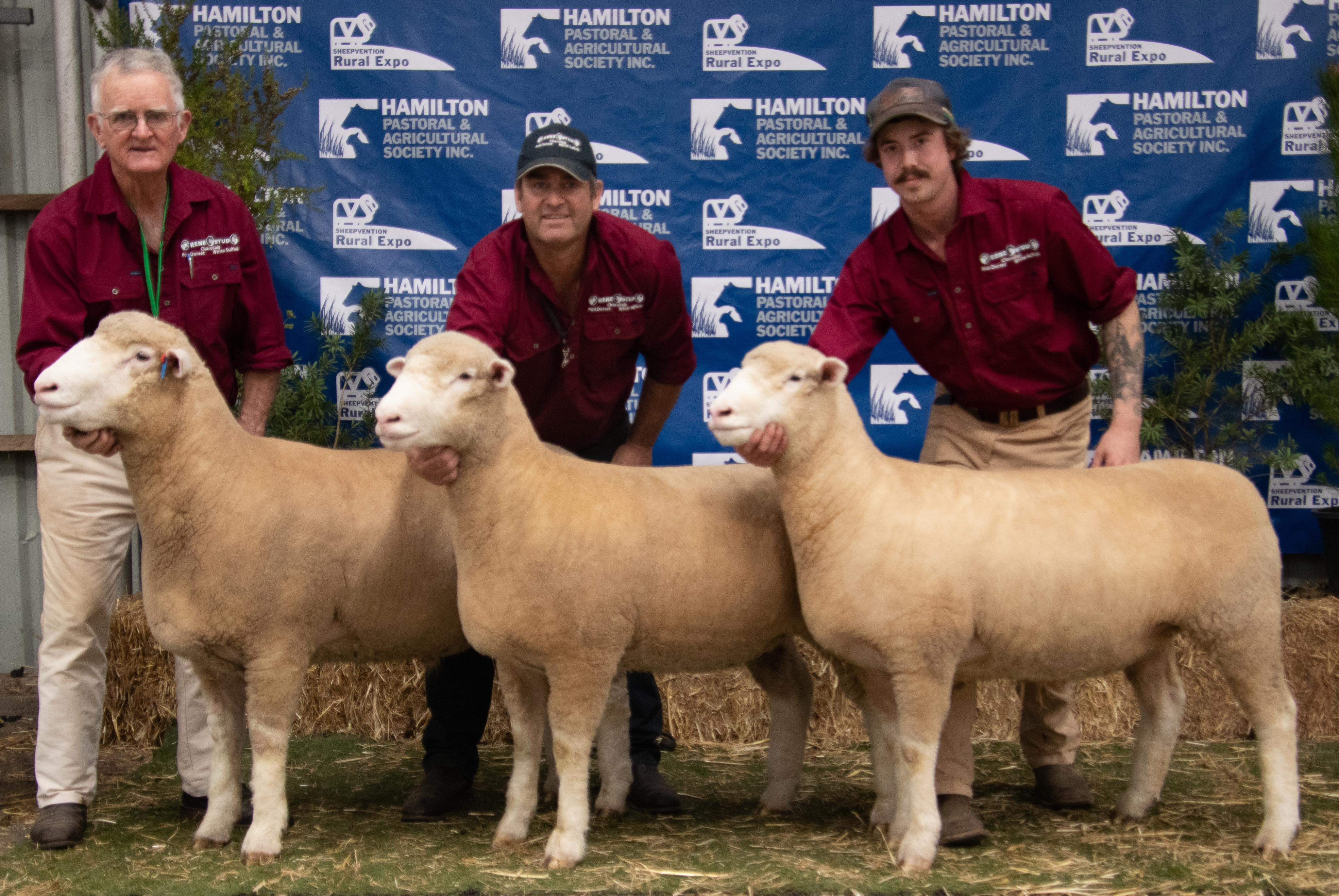 2023 Sheepvention – Hamilton & Western District Sheep Show